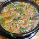 내일또오리 이미지