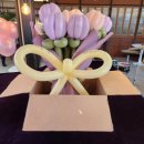 문화공감철 | 가수 미기 4월 13일 대전 콘서트 문화공감 철 다녀왔어요