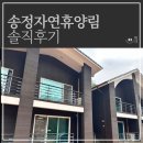 대구 근교 경북 칠곡 송정자연휴양림 산림휴양관 금낭화 솔직후기
