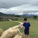 자명목장 이미지