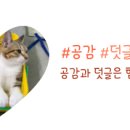 진도힐링하우스 이미지