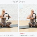 바디서클 이미지