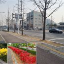 월드컵로 이미지