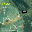 리치 태양광발전소 이미지