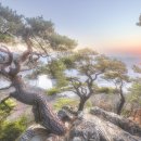 더 강촌 민박 이미지