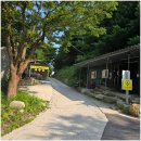 Morning Lake | 첫 캠핑 실패 후 재도전기 — 충주호 오토캠핑 후기, 호수뷰 감성까지- Beginner Camping, Beautiful Chaos