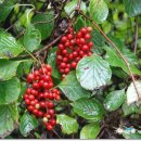 병태농장 이미지