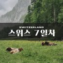 스위스 2주 신혼여행(7일차) 라우터브루넨 슈테첼베르그 하이킹, 벵엔 뷰포인트, 그린델발트 기념품샵 투어