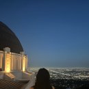엘에이갈비찜닭(LA갈비찜닭) 미아점 | 미국 엘에이 여행 LA 일일투어🇺🇸당일치기 내돈내산 솔직후기 (게티센터, 산타모니카 비치, 할리우드사인...