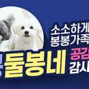 두리 락 이미지