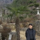 다원상사 Daum카페