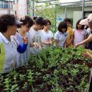 성동농장2 이미지