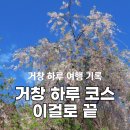 거창읍-25 | 🌸 거창 하루 여행 코스 추천 (맛집 + 감성마을 + 출렁다리 + 카페)