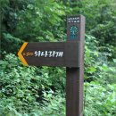 대황강 출렁다리 이미지