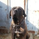 까미농장 이미지