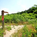 대부해솔길 1-1코스(순환코스) 이미지