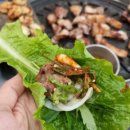돈모닝파동점