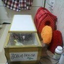 콩이네하우스 이미지