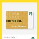 비버스필라테스 이미지