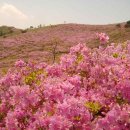 경남 합천 황매산 철쭉 산행 이미지