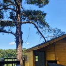 소풍(SoPoong) 이미지