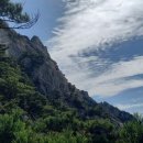 가을향기를 담은 향수 이미지