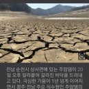 &#34;죽은물까지 끌어오는 극한의 가뭄&#34; 사활건 호남, 하루빨리 영산강 보를 해체하라!.. 이미지