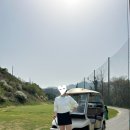 파인파골프클럽 | 파쓰리 파3 PAR3 추천 3곳 / 계룡산골프클럽 , 싱그린골프클럽, 파인파골프클럽 가격 및 위치 후기 정리