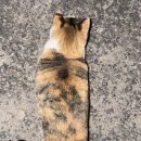 다온축산 이미지