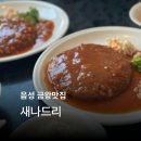 새나드리 이미지