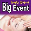 벨라뷰티
