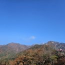 단풍막창
