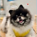 한별태권도 | 9월 회고