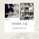 청주, 대전, 천안 본식 스냅 추천 '브리앙뜨' 계약후기(내돈내산)(짝꿍구함)