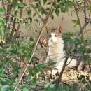 장등해수욕장 | 갑자기 떠난 1박2일 여수여행 휘뚤마뚤 기록 (일상) 꽃돌게장1번가/카페오아/장등해수욕장/화동민가