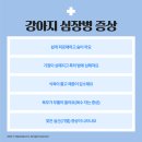 대흥동물병원 이미지