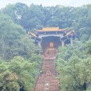 불도 | 🏯중국 러산 여행 필수 코스, 현지인 명소 동방불도(东方佛都) 동방대불 관람기