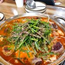 7월 15~16일기s