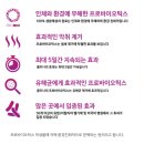 제일체육관 이미지