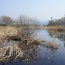 하백의정원 이미지