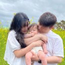 제주특별자치도 농업기술원 동부농업기술센터 | [제주가족여행 일기 1] 6개월 아기랑 제주 가족여행 코스 (협재해수욕장·유채꽃·스누피가든 후기)