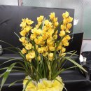 초이스약국 이미지