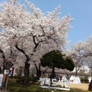 정독 도서관(구 경기고등학교) 이미지