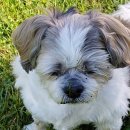 아침이슬2016_1 이미지