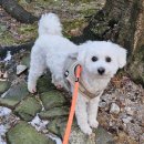 내일 | 광주 양식조리기능사 자격증 내일배움학원 후기