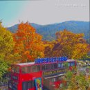 가평 카라반힐스 풀빌라 펜션 이미지