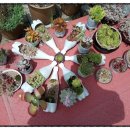 수도산과길손들 이미지