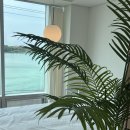 제주바다너머집해변점 이미지