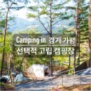 청평면 | 개별 데크에서 즐기는 잔잔한 캠핑 [선택적 고립 캠핑장] 크루존 1 후기