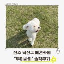 무이사회 | 댕댕이와 유일무이한 하루, 전주 무이사회 솔직후기ᵕ̈